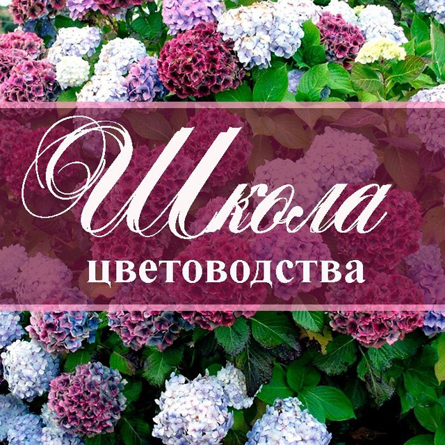 Школа цветоводства - переход's icon
