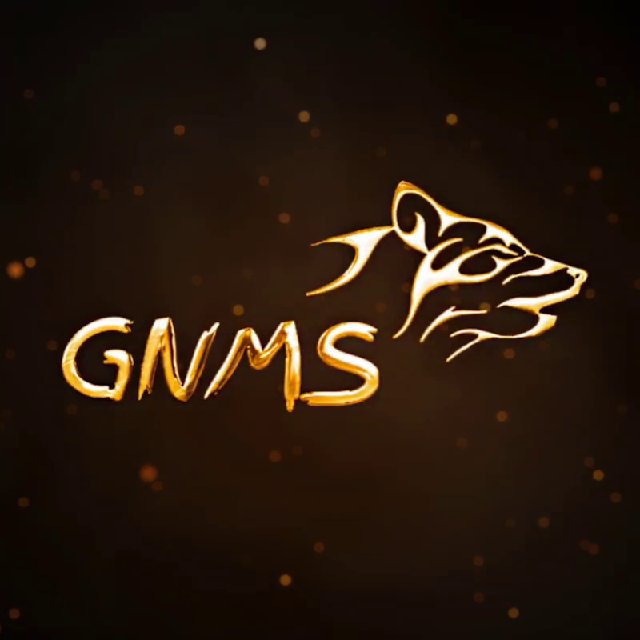 GNMS Editz 🪄 - ⁴ᴷ ᵂʰᵃᵗˢᵃᵖᵖ ˢᵗᵃᵗᵘˢ's icon