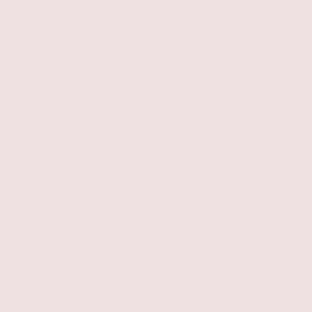 THEME's icon