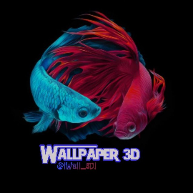 تم | والپیپر | Обои |Wallpaper's icon