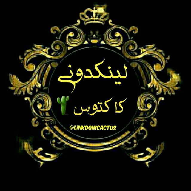 لینکدونی🍒چتکده🔥کاکتوس🌵's icon