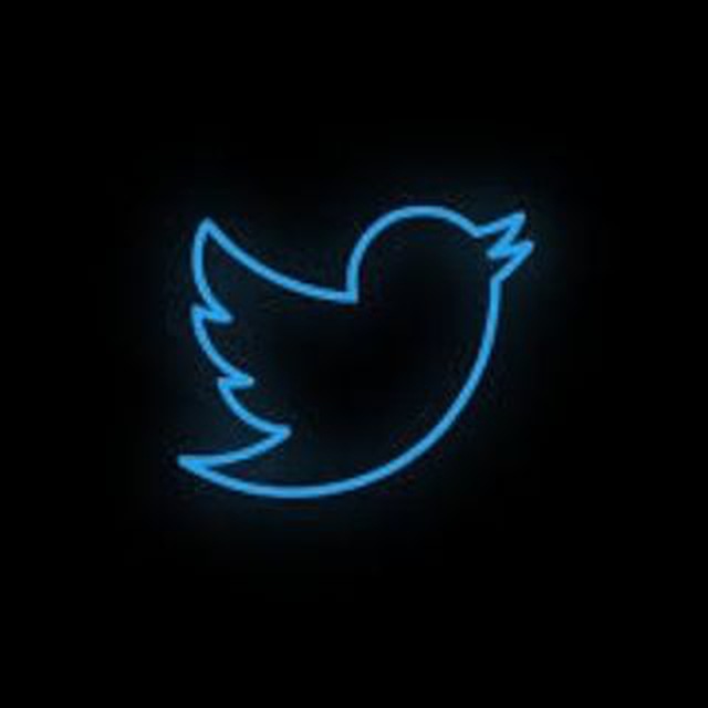 توییتی فان "'s icon
