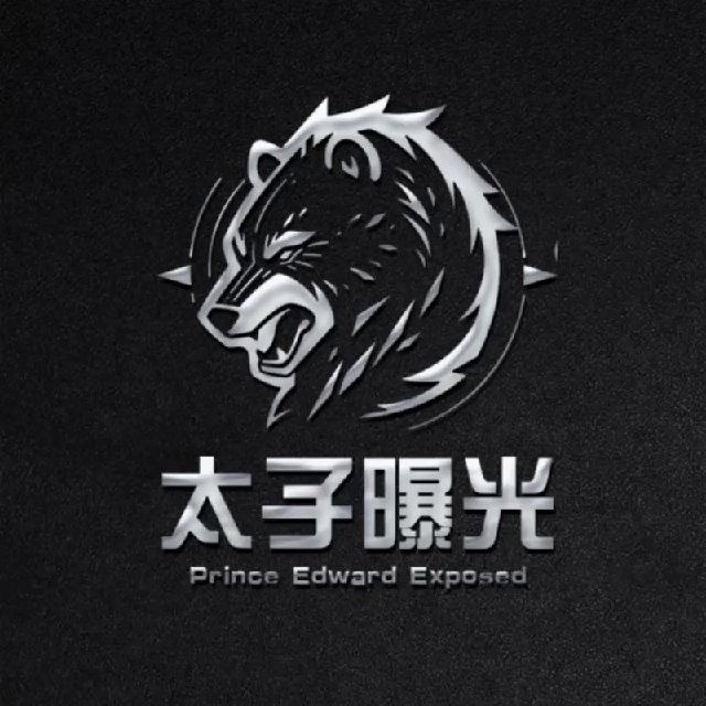 太子支付曝光｜悬赏通缉令💥's icon