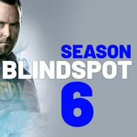 🇫🇷 BLINDSPOT VF FRENCH SAISON 6 5 4 3 2 1 intégrale's icon