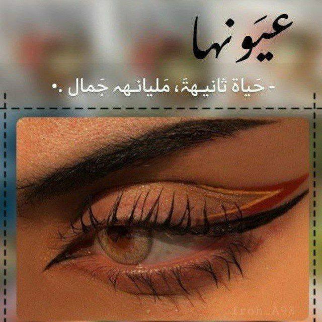 اغاني ملصقات متحركات تمبلر's icon